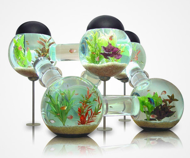 aquarium-insolite-1