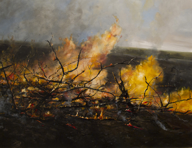 attention-les-images-que-vous-allez-voir-ne-sont-pas-des-photographies1