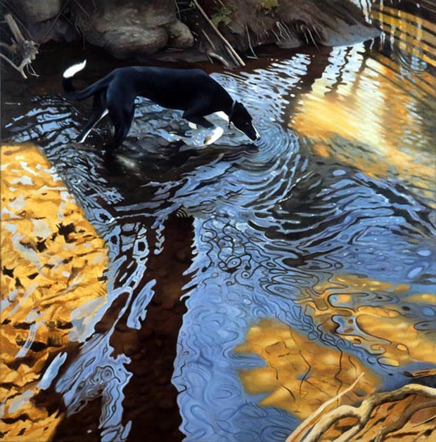 attention-les-images-que-vous-allez-voir-ne-sont-pas-des-photographies22