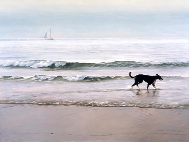 attention-les-images-que-vous-allez-voir-ne-sont-pas-des-photographies23