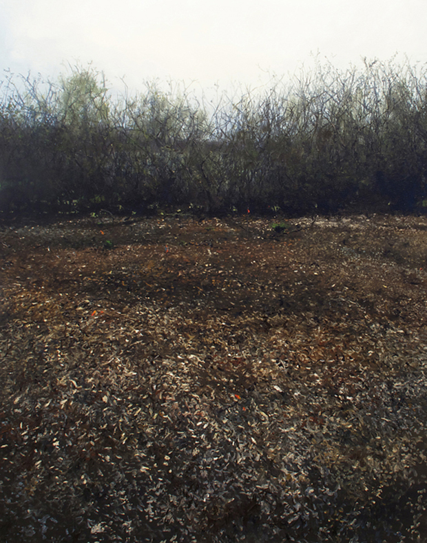 attention-les-images-que-vous-allez-voir-ne-sont-pas-des-photographies6