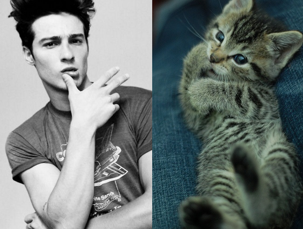 tout-ce-que-les-filles-adorent-voir-ensemble-des-beaux-mecs-et-des-chatons