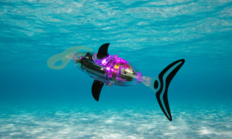 jessiko-le-seul-robot-poisson-au-monde-a-pouvoir-nager-en-communaute-de-facon-autonomeUne