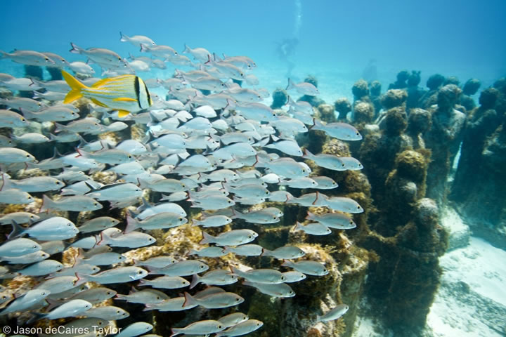 sculpture-dans-leau03