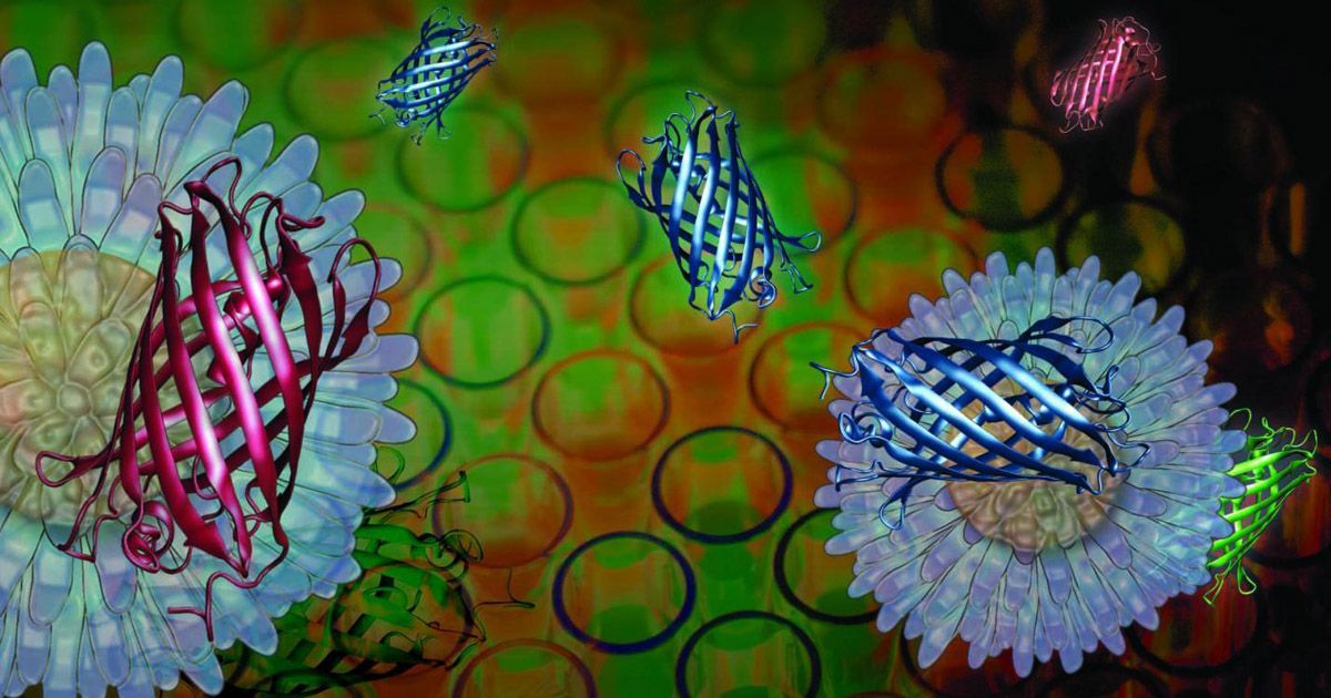 cellules