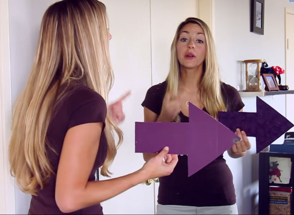 why do mirrors flip horizontally ?