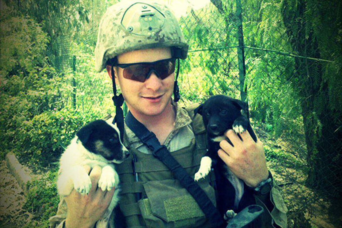 2-chiens-soldat