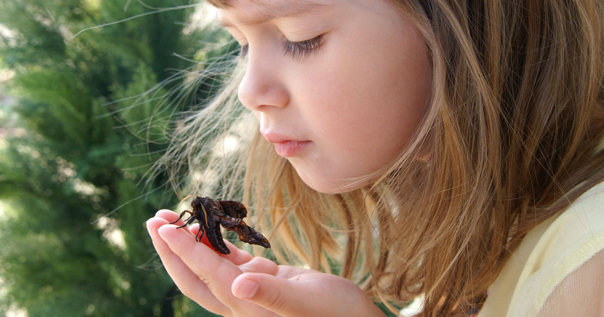 Une-enfant-insecte