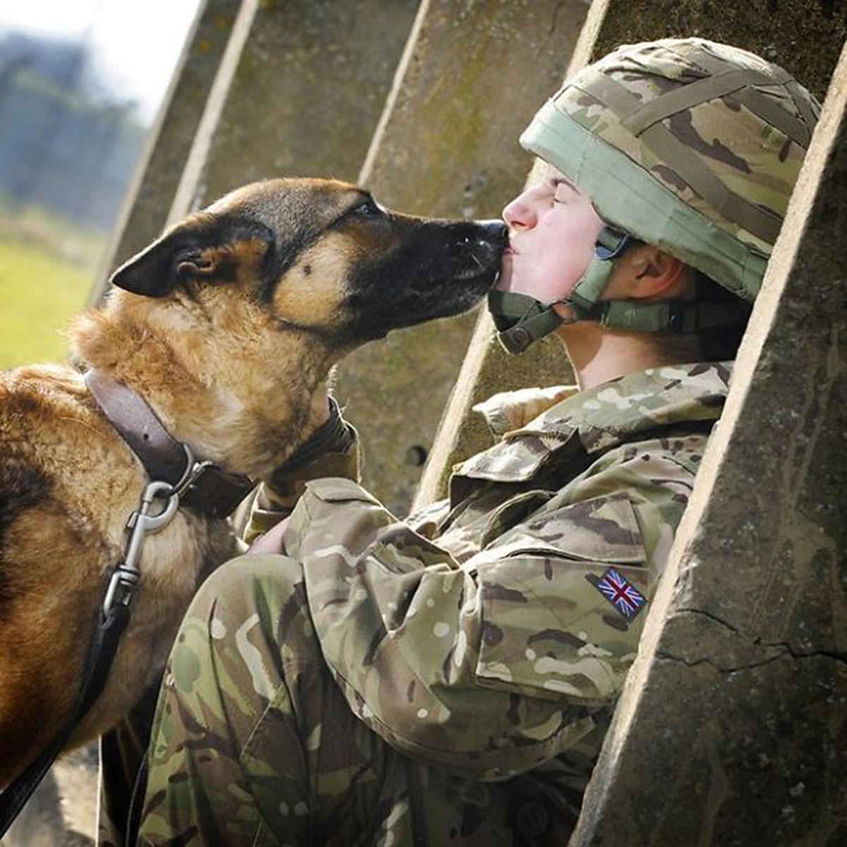 bisou-soldat-chien