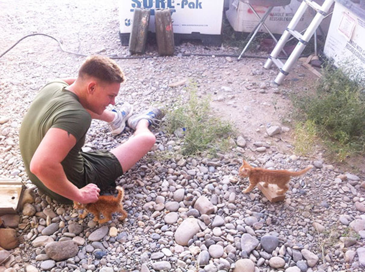 chatons-en-Afghanistan