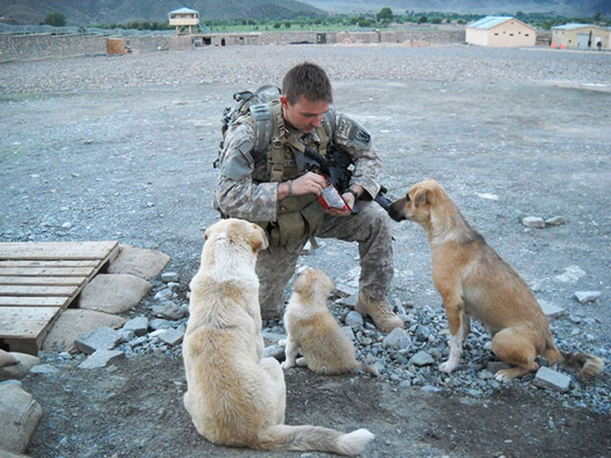 chiens-soldat