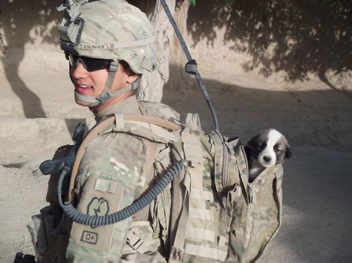 soldat-chiot-sac