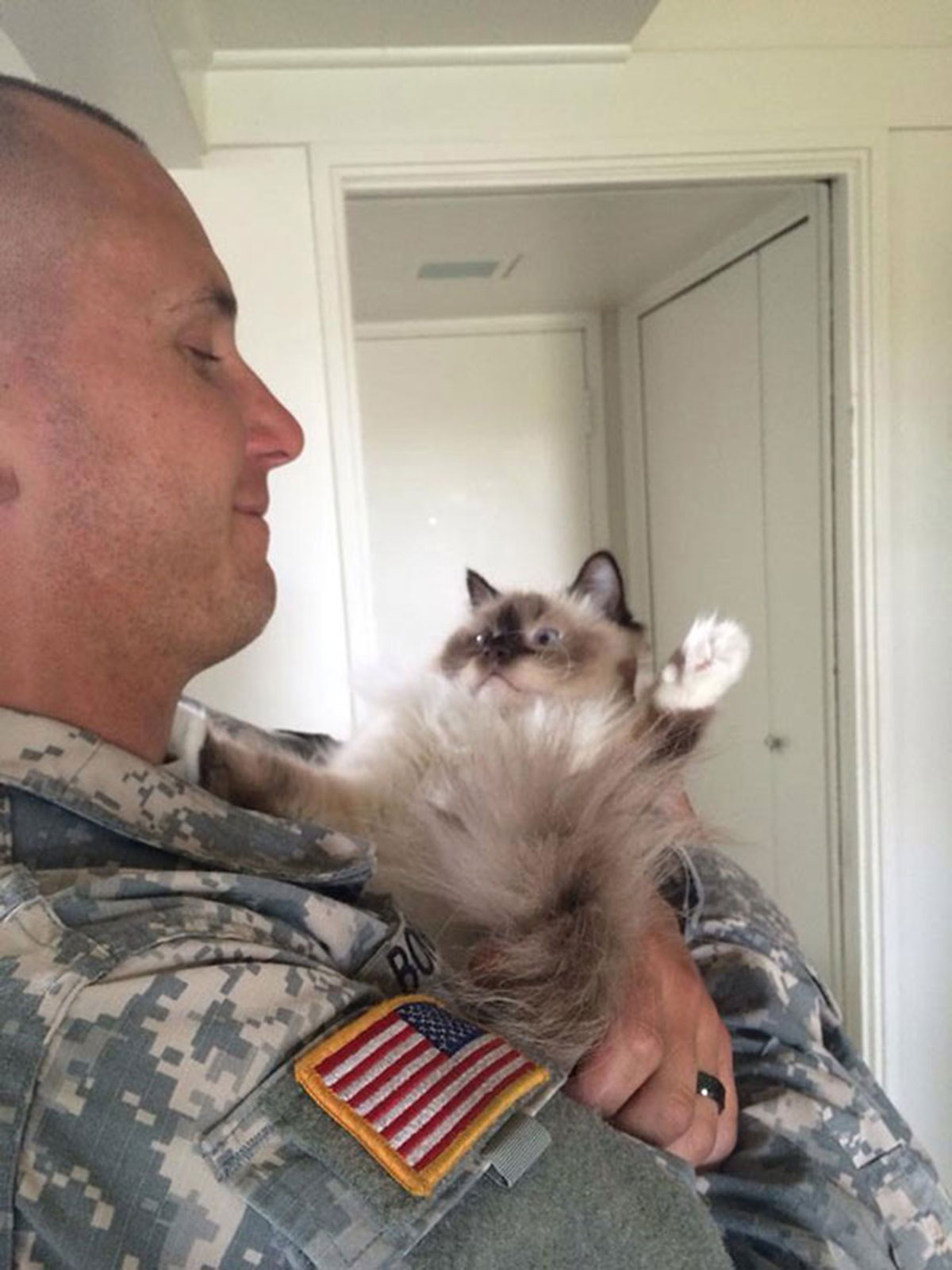 soldat-et-chat
