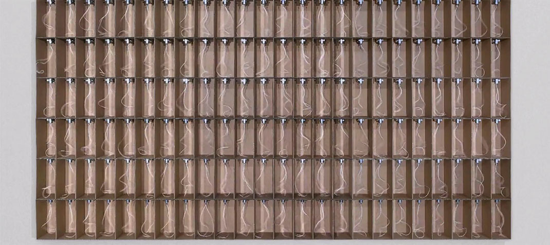 sons-architectures-fils-tiges