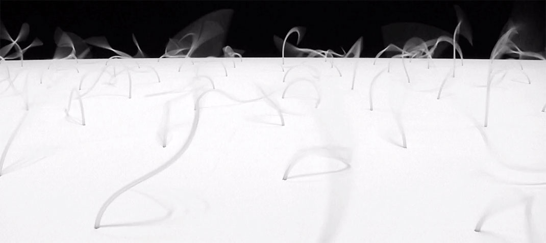 sons-architectures-tiges-mouvement