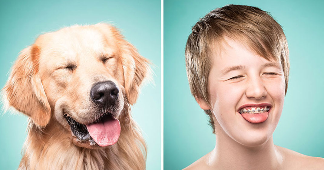 Une-chien-maitre