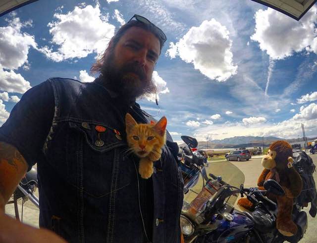 party-cat-6