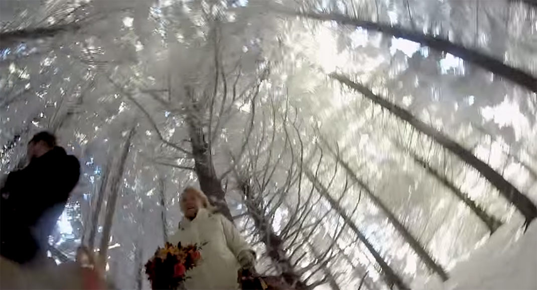 8-chien-mariage