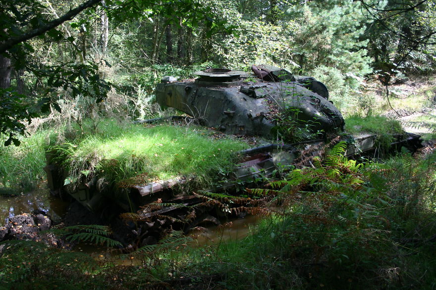 15-bordon-ukraine