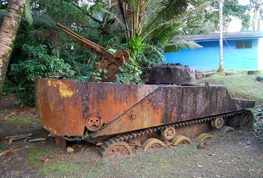 16-tank-nature