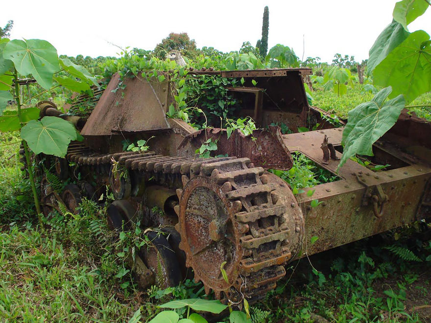 20-tank-nature