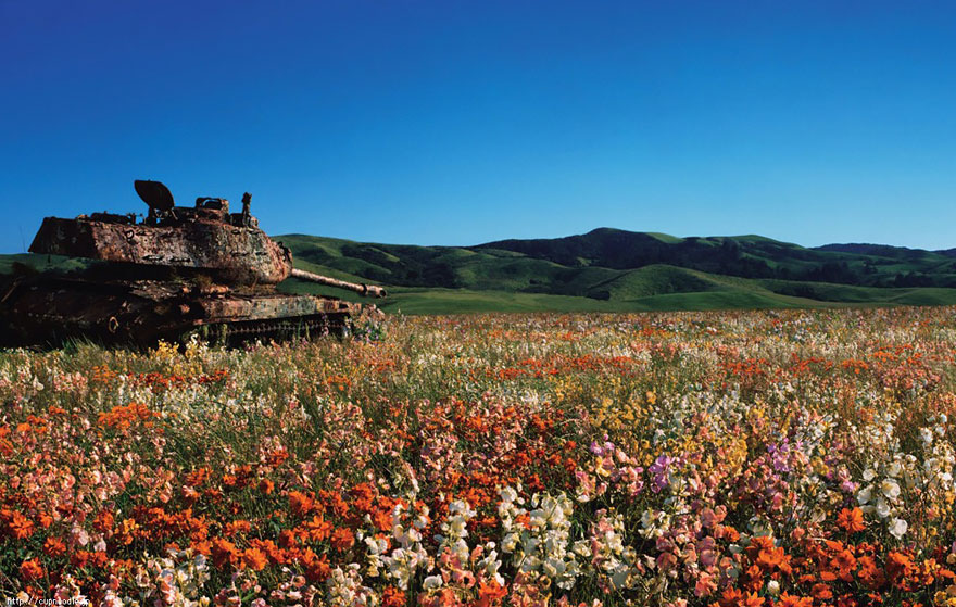 3-tank-nature