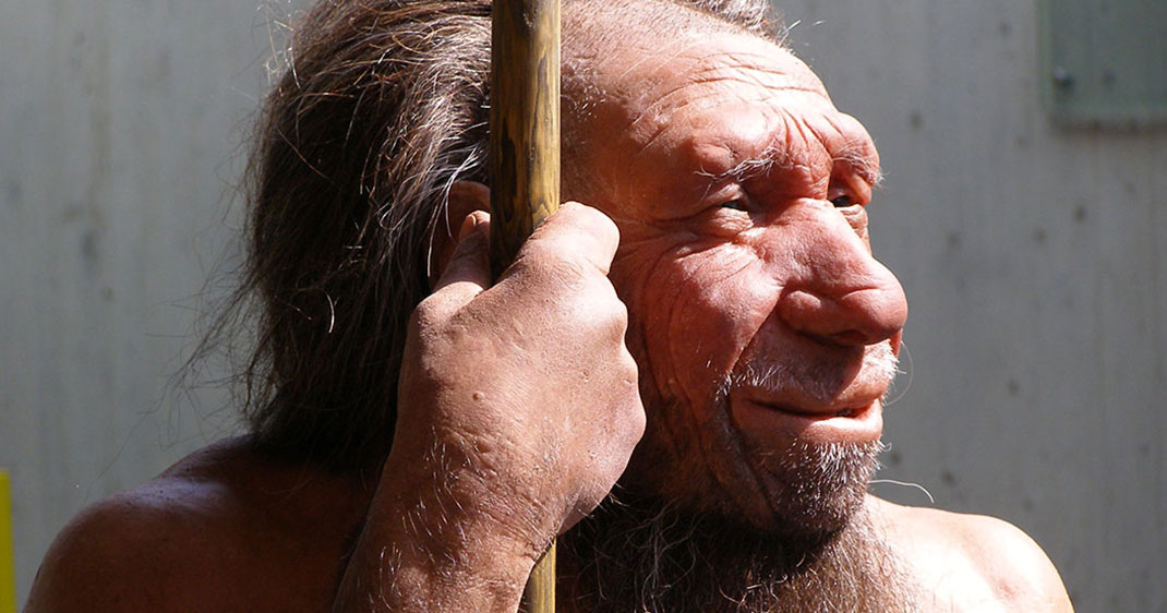 une-neandertal-1