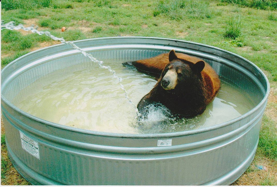 Ours-1
