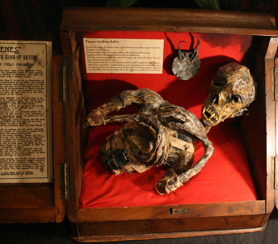 Musee-Merrylin-3