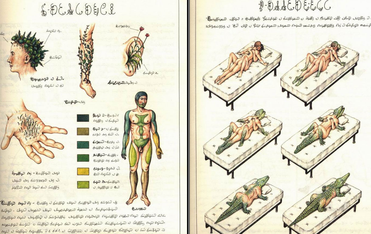 Codex-Seraphinianus-18
