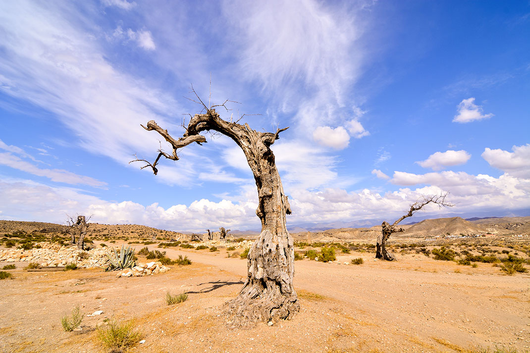 Le désert de Tabernas via Shutterstock