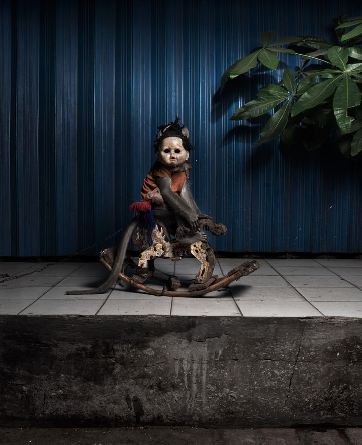 lexploitation-des-singes-forces-a-la-mendicite-denoncee-a-travers-des-photographies-saisissantes1