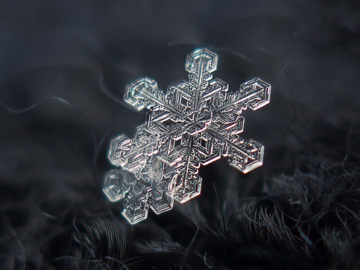 alexey-sublime-les-details-des-flocons-de-neige-a-travers-de-magnifiques-photographie-macro30