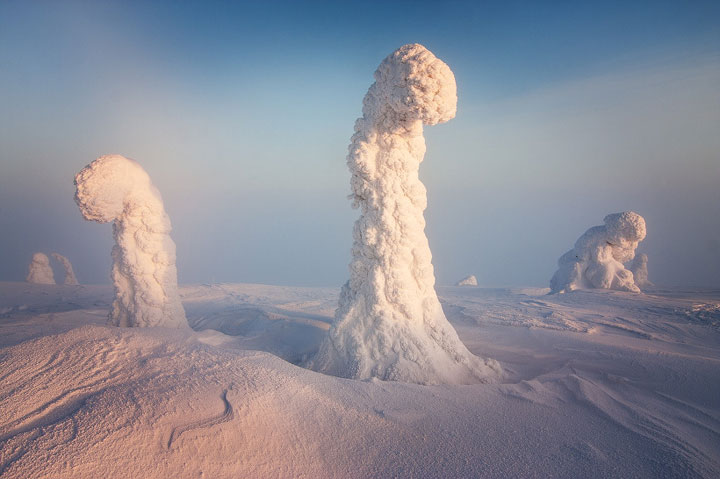 decouvrez-comment-le-froid-polaire-a-transforme-une-foret-en-un-magnifique-paysage-extraterrestre1