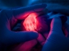 Une lumière qui révèle la fragilité de la vie