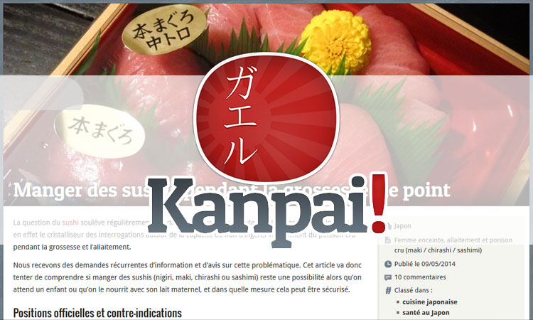 Kanpai, le guide parfait pour découvrir la culture japonaise