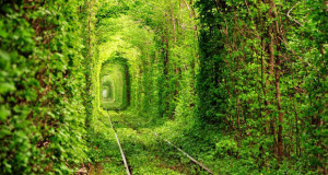 tunnel-reve