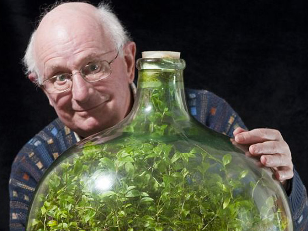 Enfermee-hermetiquement-pendant-53-ans-une-plante-a-cree-son-propre-ecosysteme-imagealaune