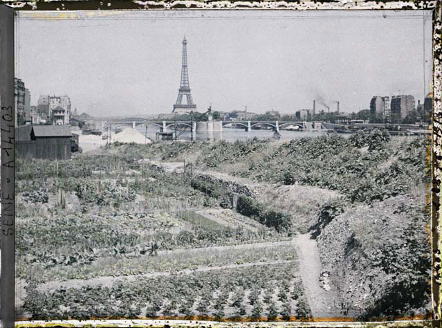 jardin