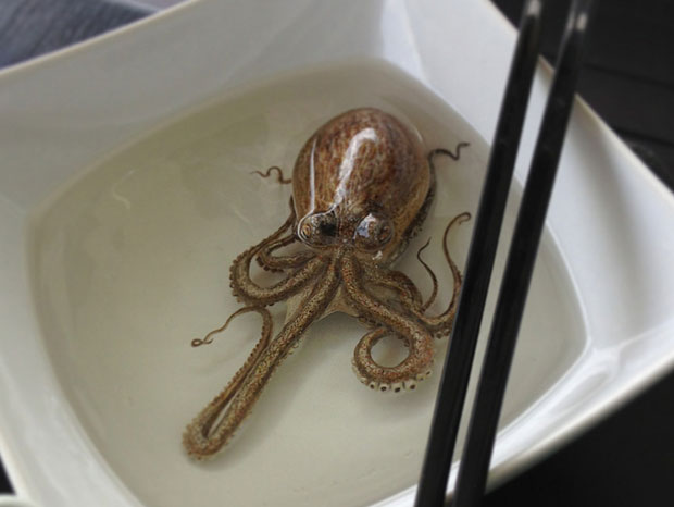 des-creatures-marines-dans-votre-assiette-grace-a-la-peinture-photorealiste-en-3d-une