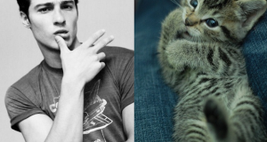 tout-ce-que-les-filles-adorent-voir-ensemble-des-beaux-mecs-et-des-chatons