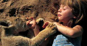 tippi