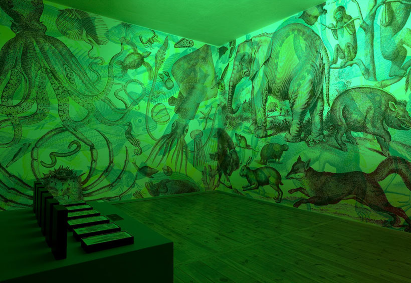 des-murs-stupefiants-qui-se-metamorphosent-en-fonction-de-la-lumiere2