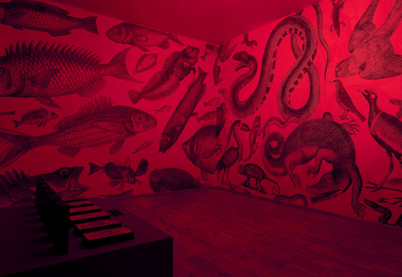 des-murs-stupefiants-qui-se-metamorphosent-en-fonction-de-la-lumiere3