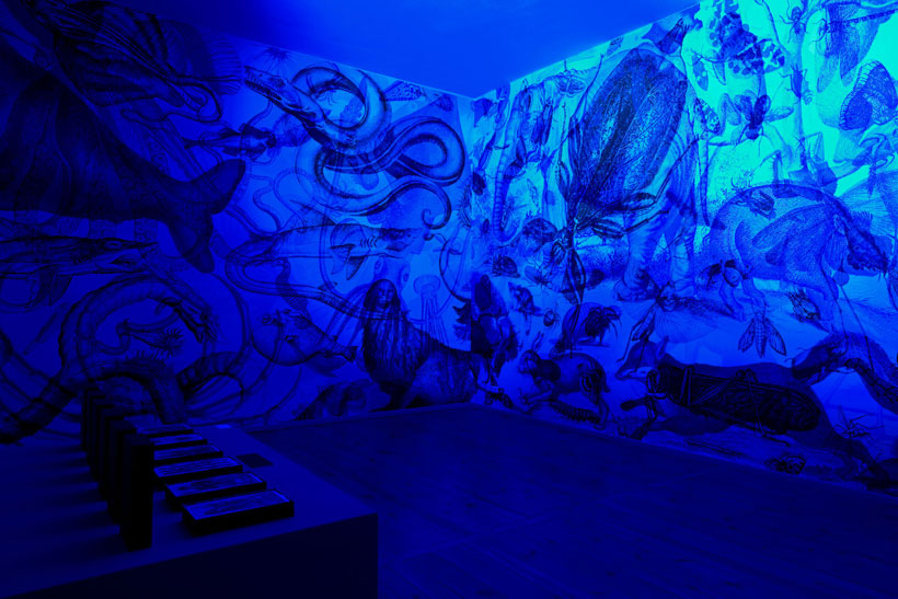 des-murs-stupefiants-qui-se-metamorphosent-en-fonction-de-la-lumiere4