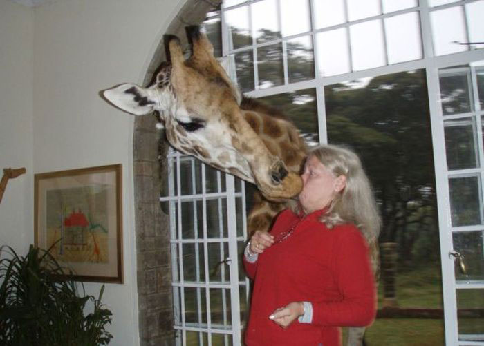 femmes-vs-animaux-un-amour-vache-en-35-photos-amusantes - 14 jpg
