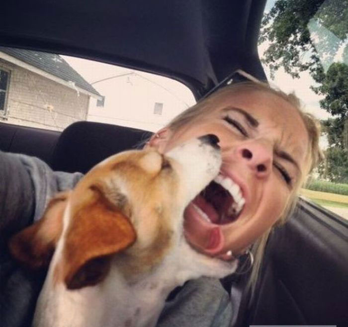 femmes-vs-animaux-un-amour-vache-en-35-photos-amusantes - 16