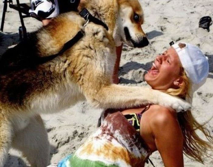 femmes-vs-animaux-un-amour-vache-en-35-photos-amusantes - 2
