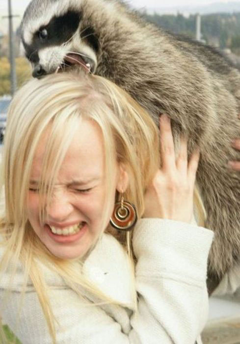femmes-vs-animaux-un-amour-vache-en-35-photos-amusantes - 24