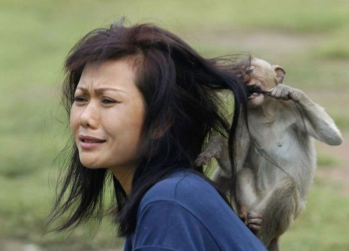 femmes-vs-animaux-un-amour-vache-en-35-photos-amusantes - 27